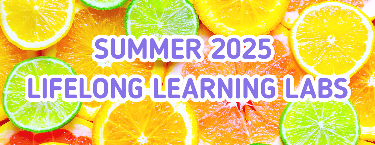 Summer 2025 Lifelong Learning Labs